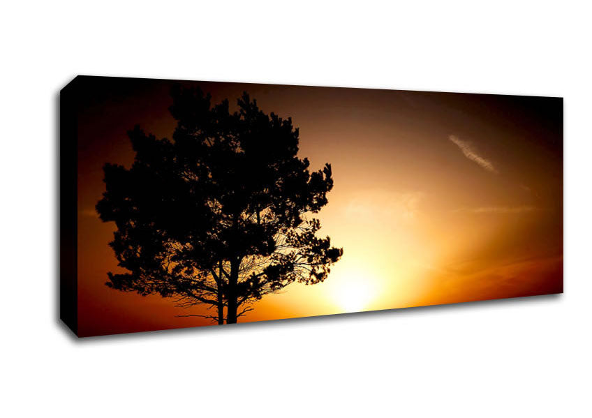 Picture of Sunrise Tree Panoramic Canvas Wall Art