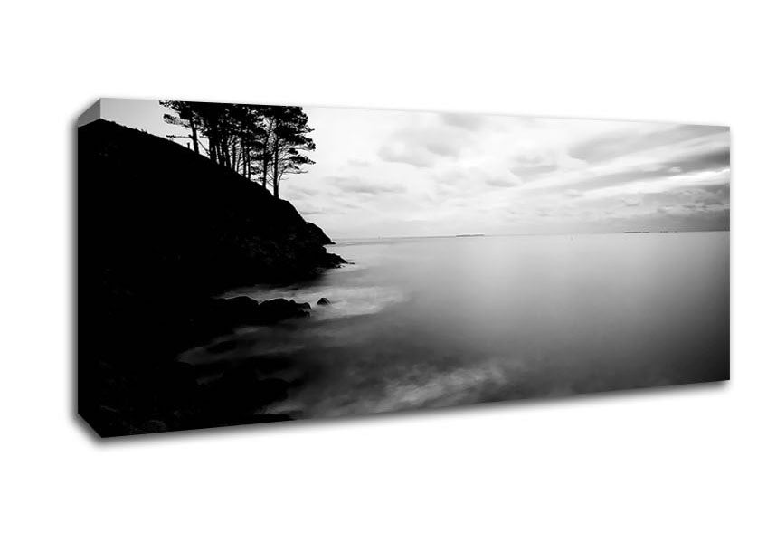 Picture of Tree Top Ocean Calm B n W Panoramic Canvas Wall Art