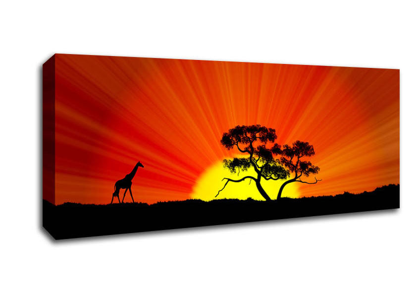 Picture of African Sunblaze Panoramic Canvas Wall Art