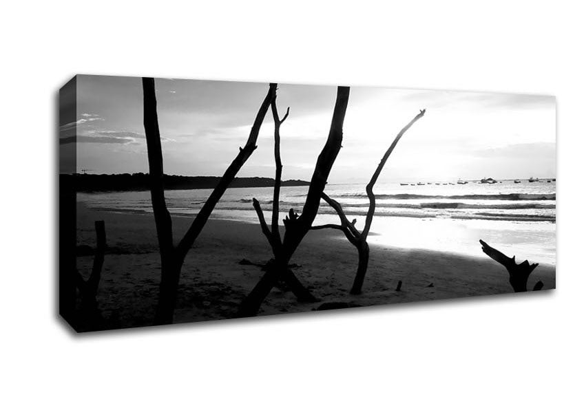 Picture of Driftwood Beach B n W Panoramic Canvas Wall Art