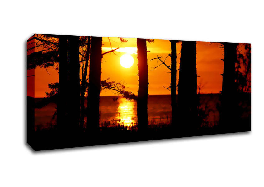 Picture of Orange Sunset Through The Trees Panoramic Canvas Wall Art