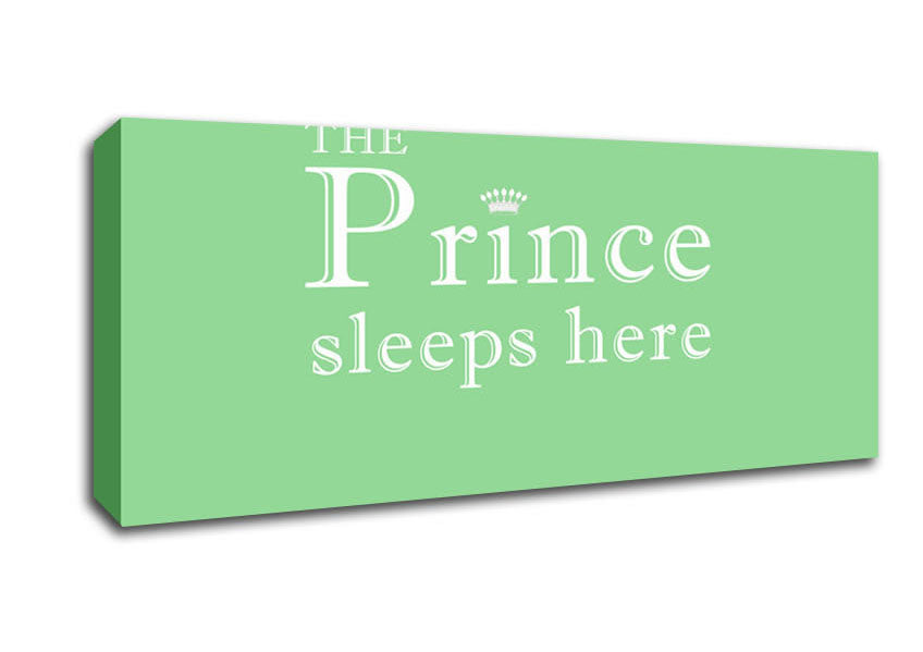 Picture of Boys room Quote The Prince Sleeps Here Green Panoramic Canvas Wall Art