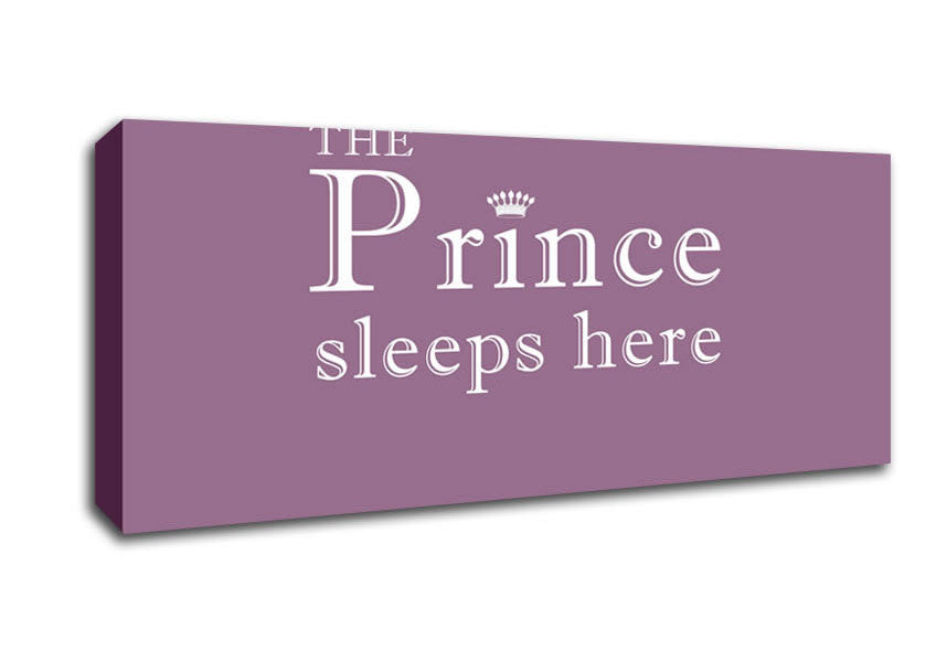 Picture of Boys room Quote The Prince Sleeps Here Dusty Pink Panoramic Canvas Wall Art