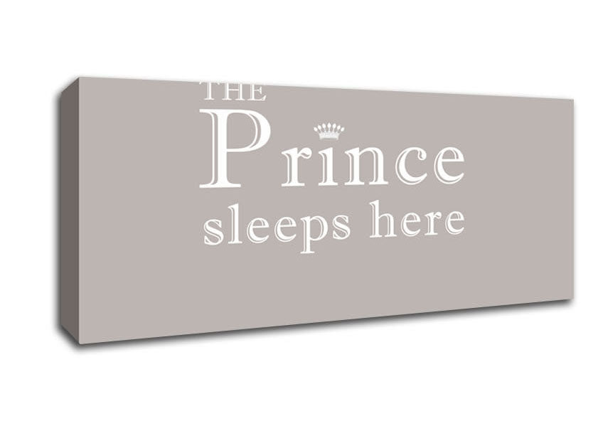 Picture of Boys room Quote The Prince Sleeps Here Beige Panoramic Canvas Wall Art