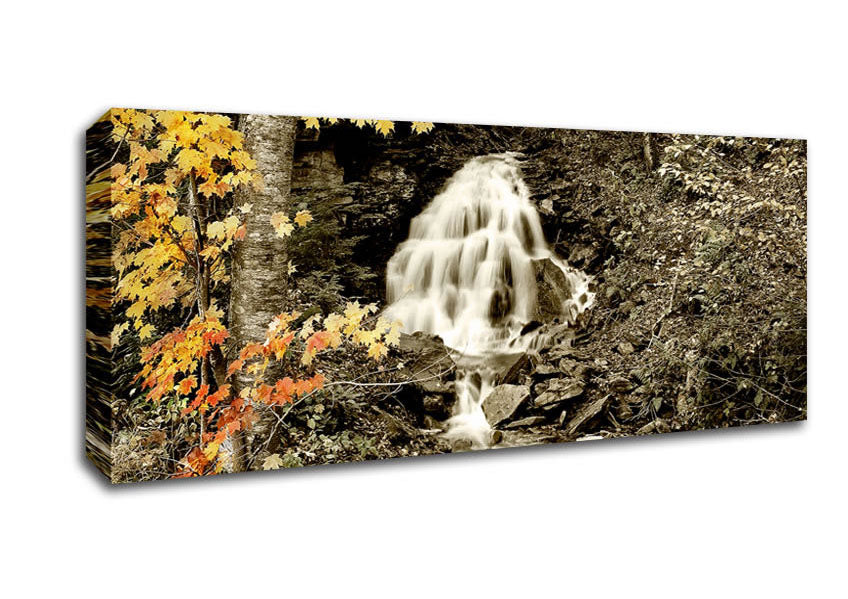 Picture of The Hidden Forest Stream Panoramic Canvas Wall Art