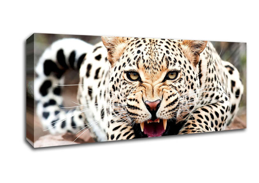 Picture of Amazing Cheetah Panoramic Canvas Wall Art