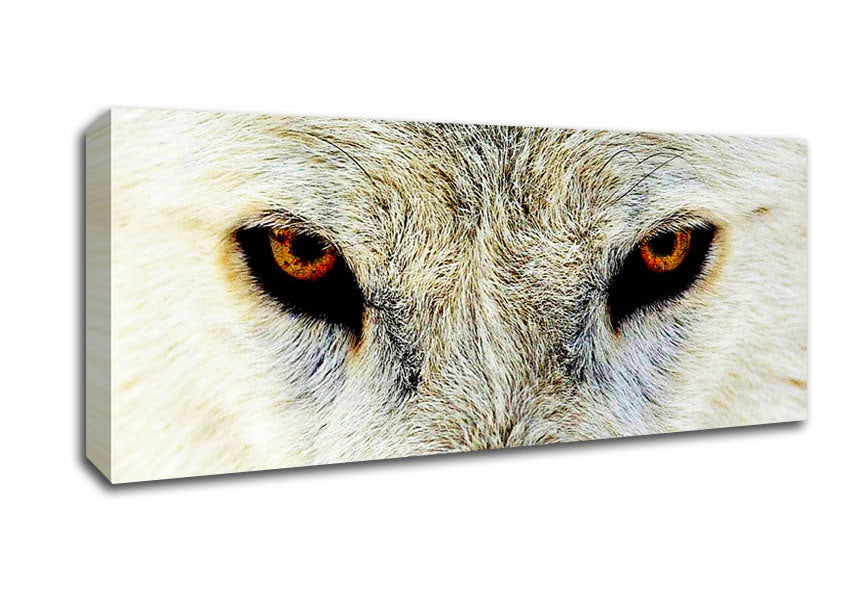 Picture of Arctic Wolf Eyes Panoramic Canvas Wall Art