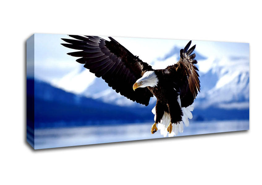 Picture of Bald Eagle In Flight Alaska Panoramic Canvas Wall Art