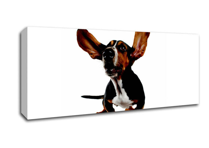 Picture of Bassett Hound Ears Panoramic Canvas Wall Art