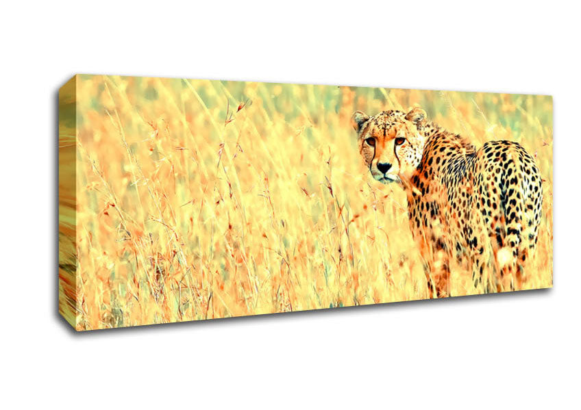 Picture of Beautiful Cheetah Panoramic Canvas Wall Art