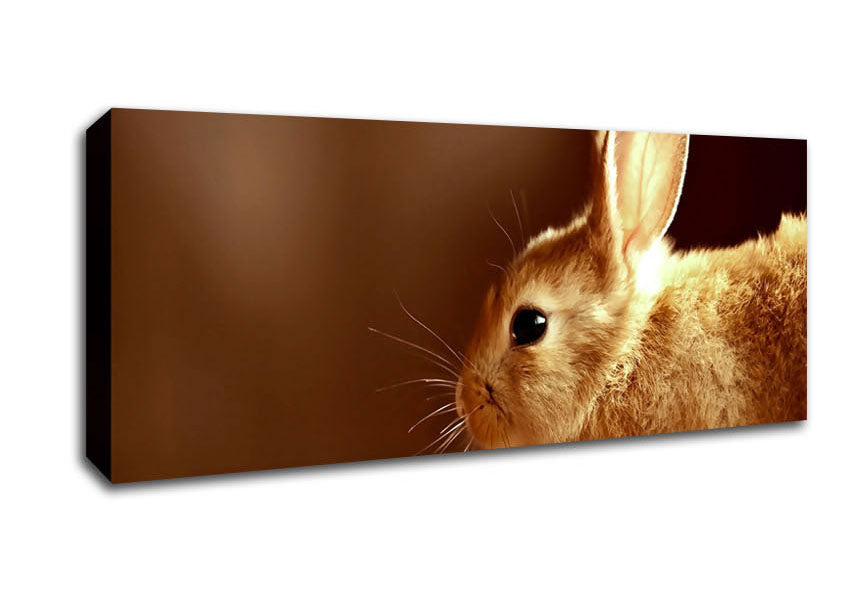 Picture of Bunny Whiskers Panoramic Canvas Wall Art