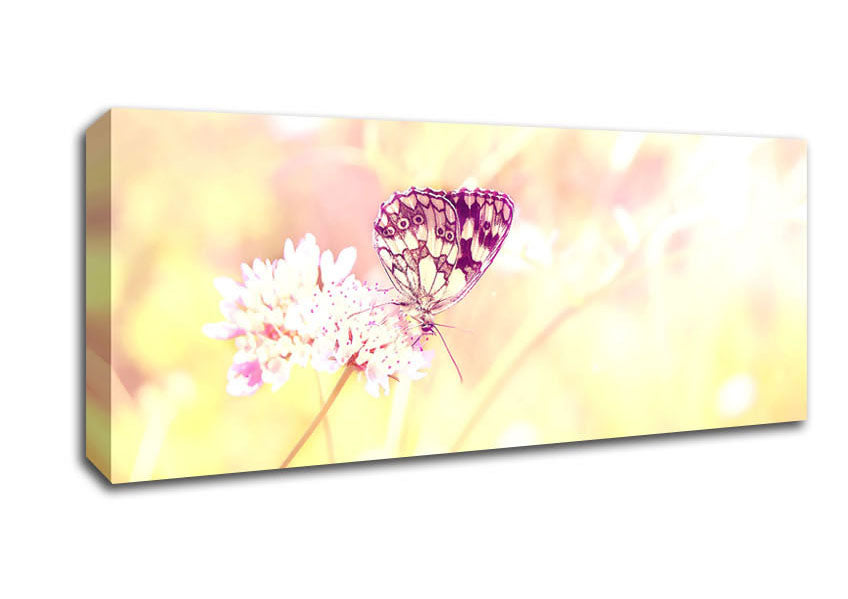 Picture of Butterfly Haze Panoramic Canvas Wall Art