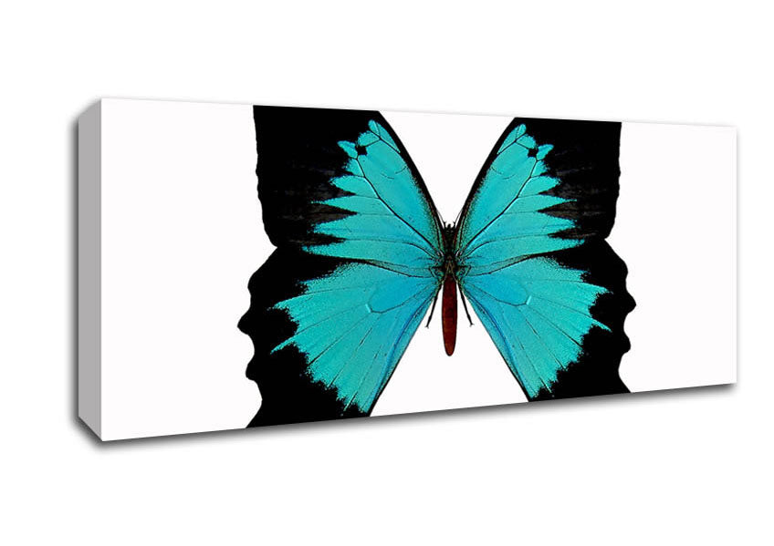 Picture of Butterfly Beauty Panoramic Canvas Wall Art