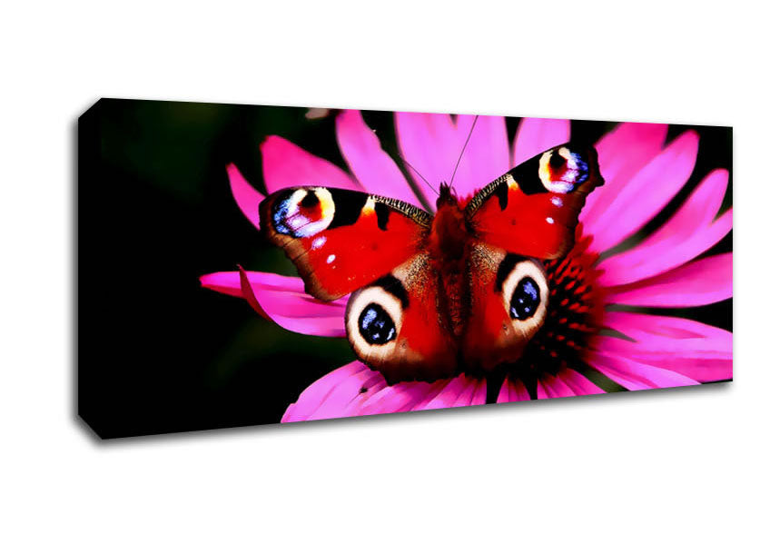 Picture of Butterfly Infusion Panoramic Canvas Wall Art