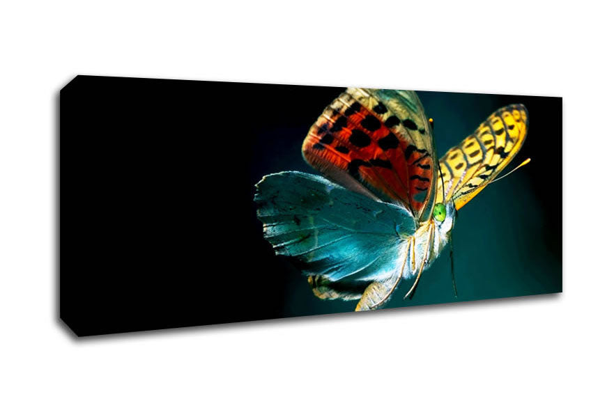 Picture of Butterfly Rainbow Panoramic Canvas Wall Art