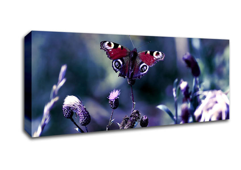 Picture of Butterfly With Open Wings Panoramic Canvas Wall Art