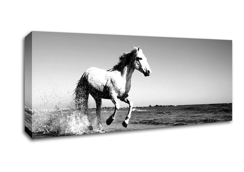 Picture of Camargue White Horse Panoramic Canvas Wall Art