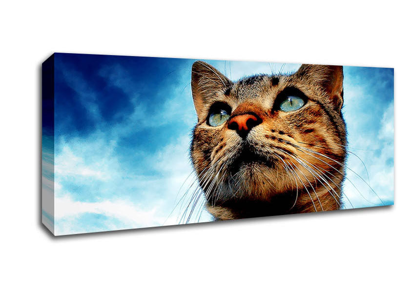 Picture of Cat Hunting Panoramic Canvas Wall Art