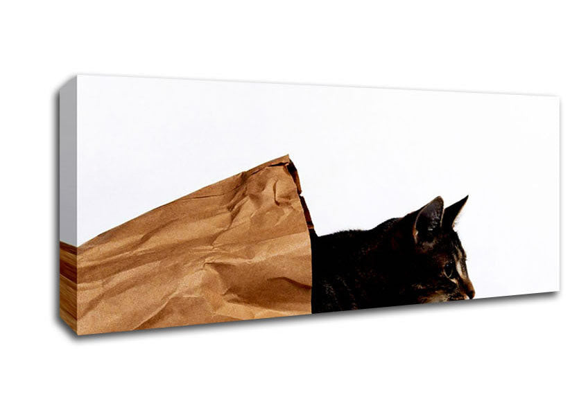 Picture of Cat In A Bag Panoramic Canvas Wall Art