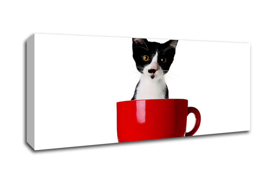 Picture of Cat In A Tea Cup Panoramic Canvas Wall Art