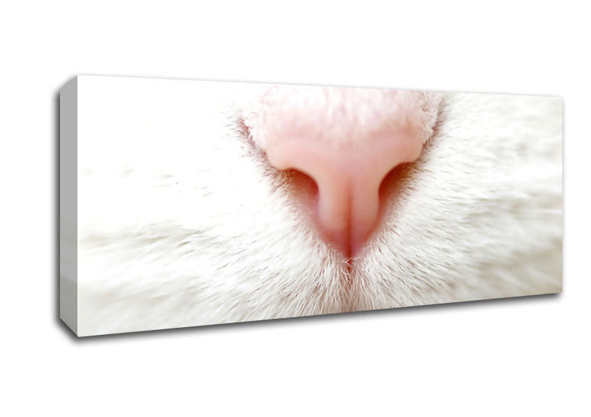 Picture of Cat Nose 2 Panoramic Canvas Wall Art