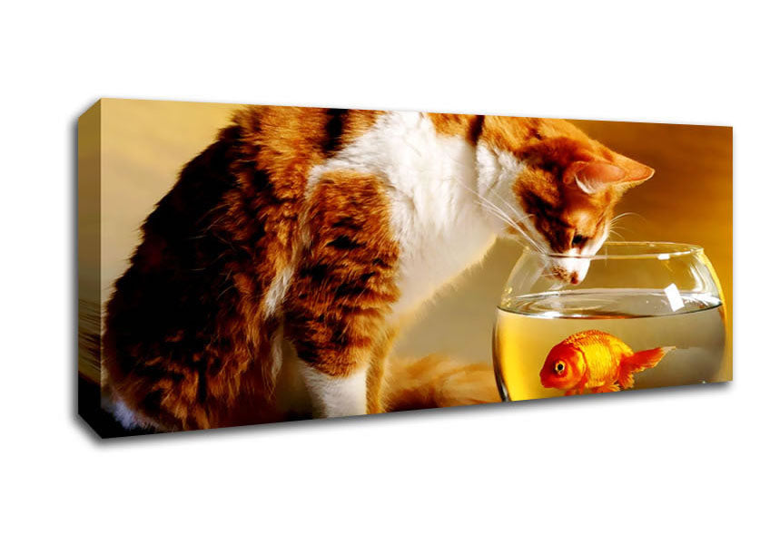 Picture of Cats Dinner Time Panoramic Canvas Wall Art