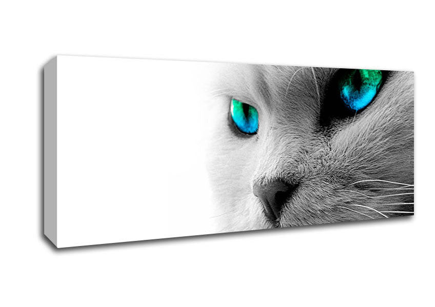 Picture of Cats Eyes Blue n Green Panoramic Canvas Wall Art