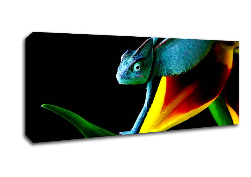 Picture of Chameleon In Blue Panoramic Canvas Wall Art