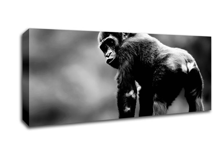 Picture of Cheeky Monkey Panoramic Canvas Wall Art