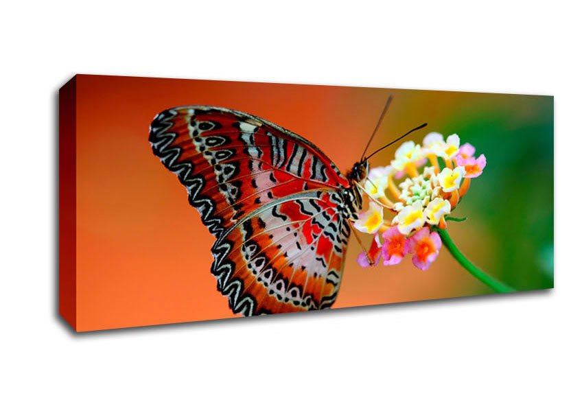 Picture of Colourful Butterfly Rests Panoramic Canvas Wall Art