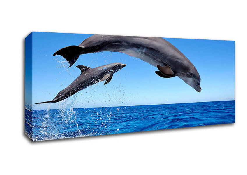 Picture of Common Bottlenose Dolphins Panoramic Canvas Wall Art