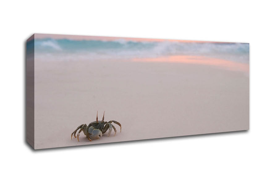 Picture of Crab On Beach Panoramic Canvas Wall Art