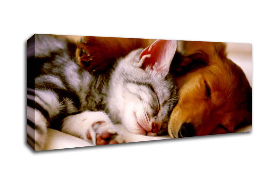 Picture of Cute Kitten And Puppy Panoramic Canvas Wall Art