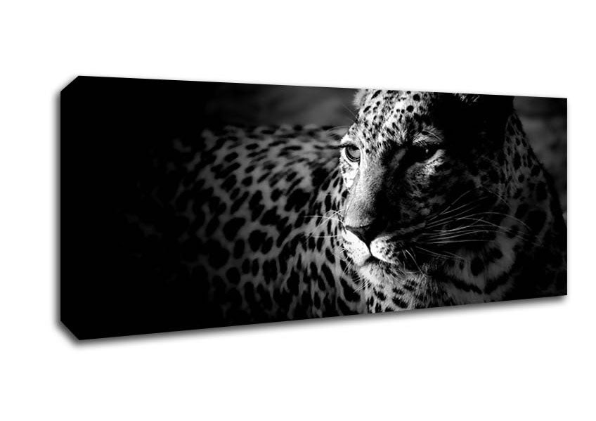 Picture of Dark Cheetah Panoramic Canvas Wall Art