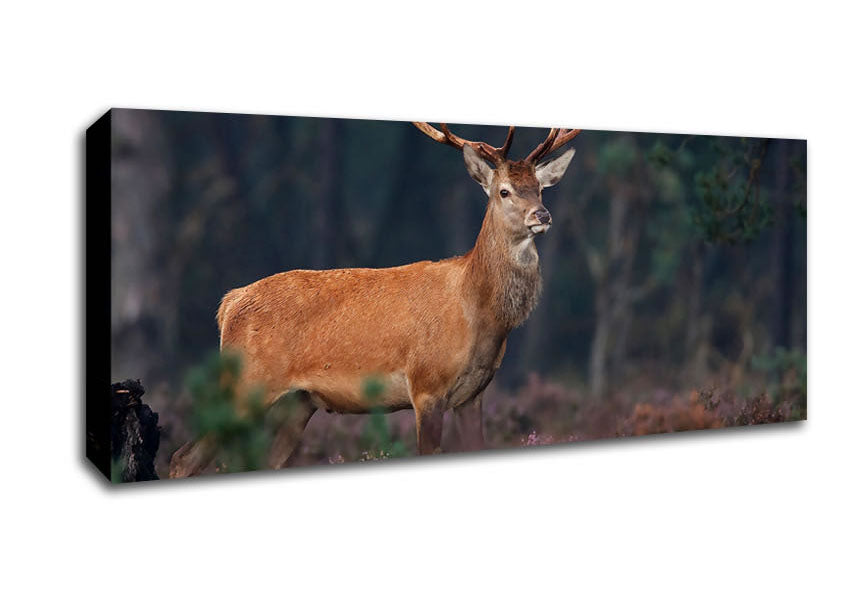 Picture of Deer 2 Panoramic Canvas Wall Art