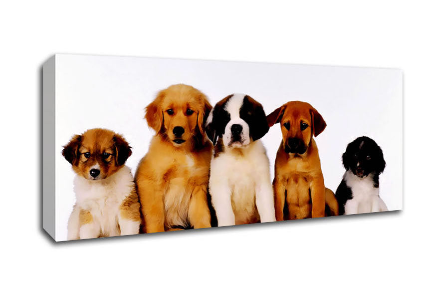 Picture of Dog Family Panoramic Canvas Wall Art