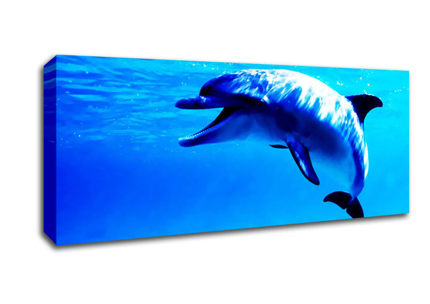 Picture of Dolphin Talk Panoramic Canvas Wall Art