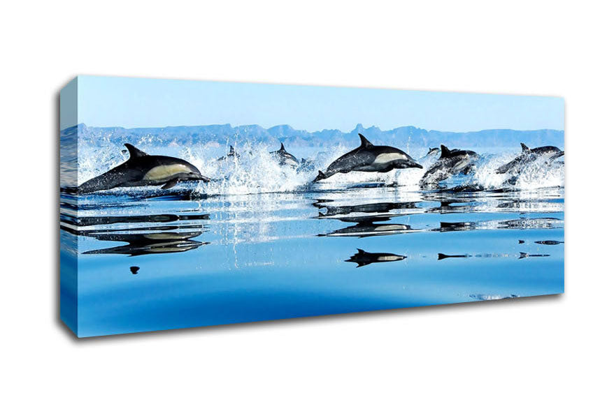 Picture of Dolphins In The Sea Panoramic Canvas Wall Art