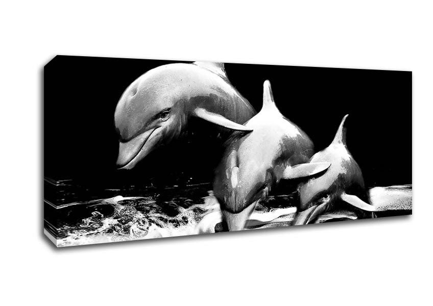 Picture of Dolphins Panoramic Canvas Wall Art