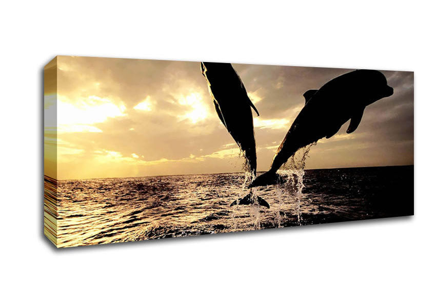 Picture of Double Dolphin Jump Panoramic Canvas Wall Art