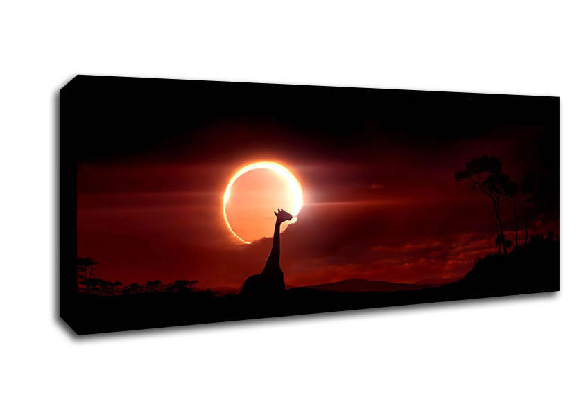 Picture of Eclipse Panoramic Canvas Wall Art