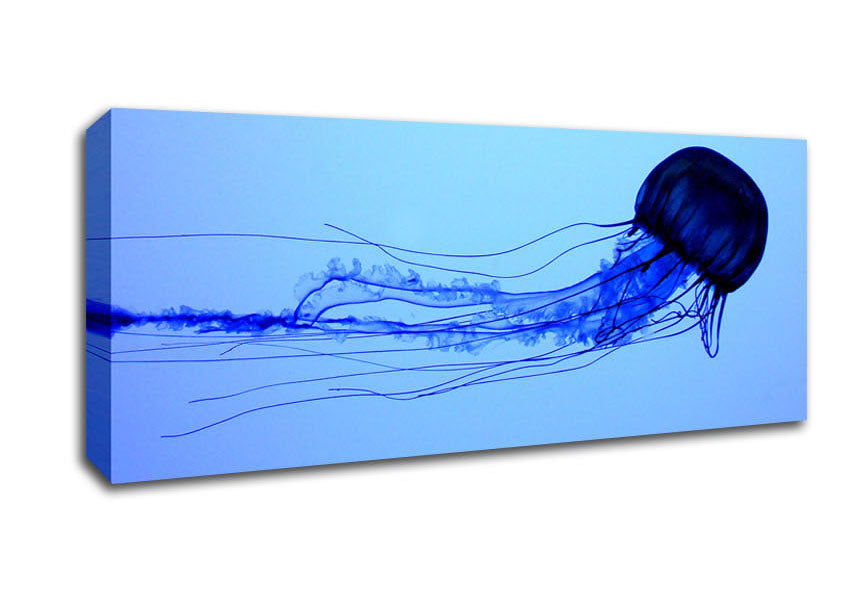 Picture of Elegant Jellyfish Panoramic Canvas Wall Art