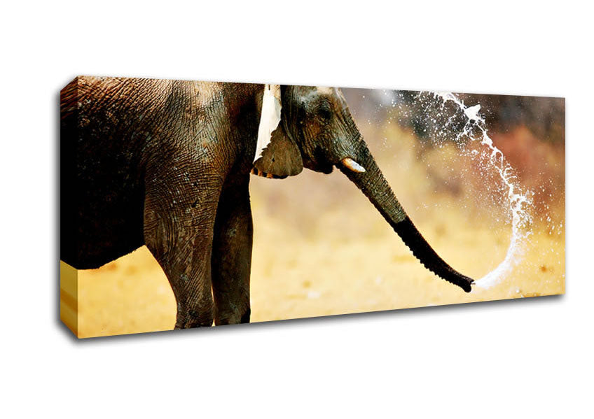 Picture of Elephant Bath Panoramic Canvas Wall Art