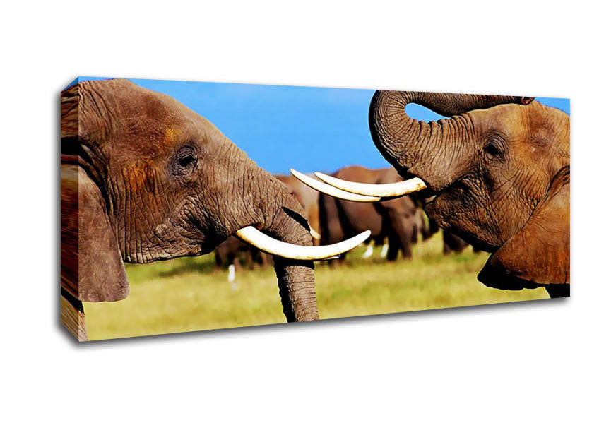 Picture of Elephant Chat Panoramic Canvas Wall Art