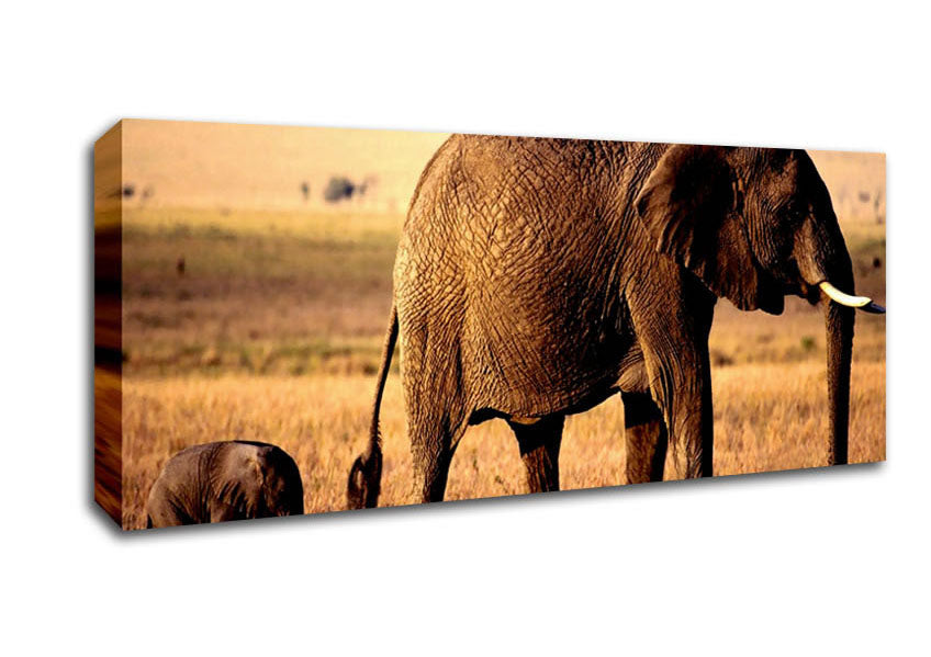 Picture of Elephant Mother And Baby Panoramic Canvas Wall Art