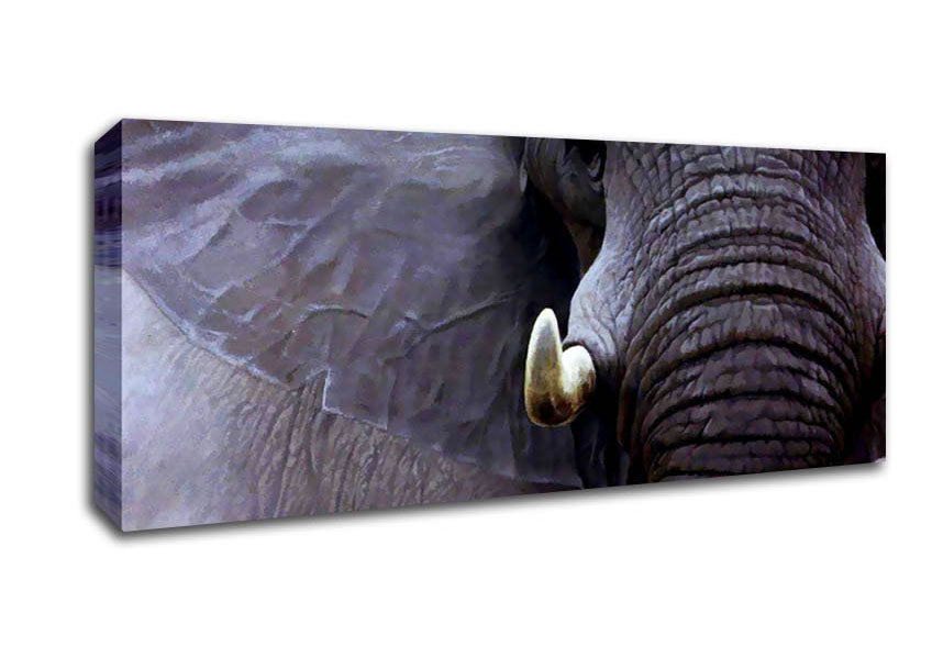 Picture of Elephant Stare Panoramic Canvas Wall Art