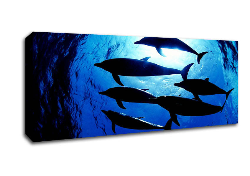 Picture of Family Of Dolphins Panoramic Canvas Wall Art