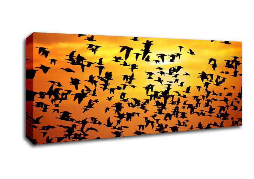 Picture of Flight Of The Golden Birds Panoramic Canvas Wall Art