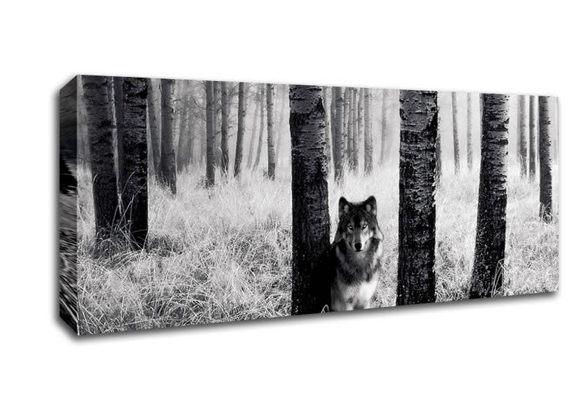 Picture of Forest Wolf Panoramic Canvas Wall Art