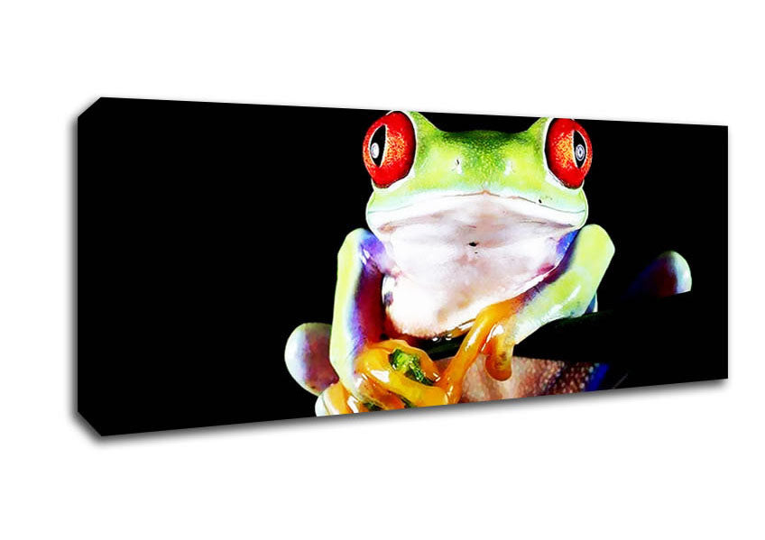 Picture of Frog Eyes Panoramic Canvas Wall Art